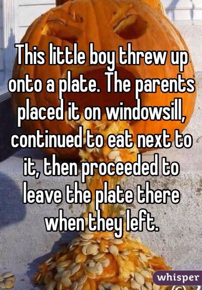 This little boy threw up onto a plate. The parents placed it on windowsill, continued to eat next to it, then proceeded to leave the plate there when they left.