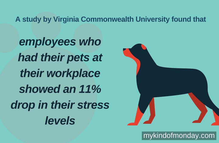 employees who had their pets at their workplace showed an 11% drop in their stress levels