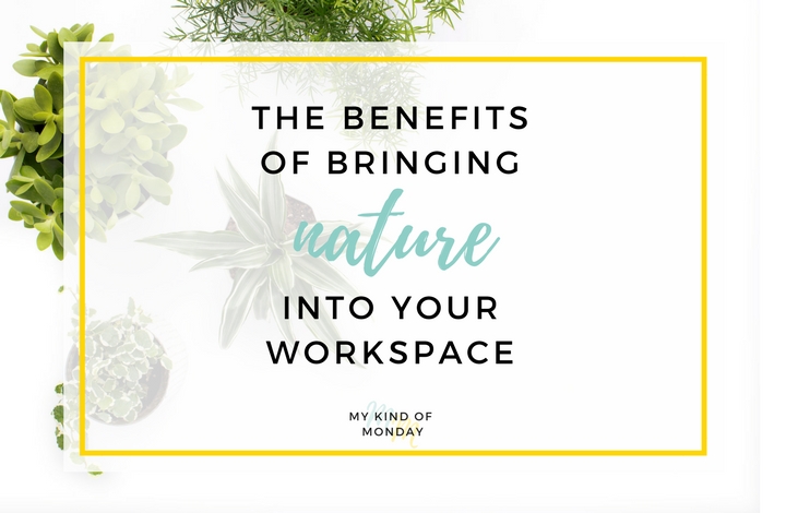 How natural elements can benefit your office environment